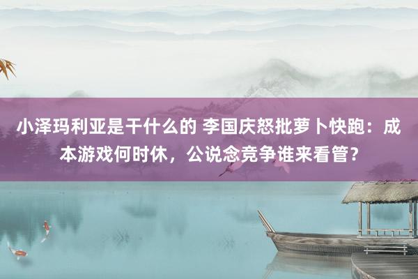 小泽玛利亚是干什么的 李国庆怒批萝卜快跑：成本游戏何时休，公说念竞争谁来看管？