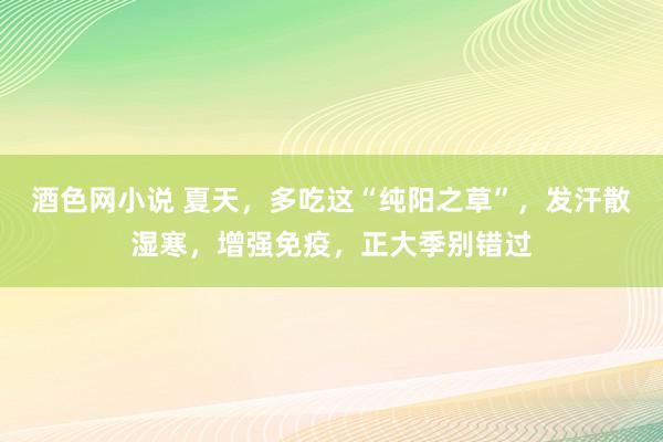 酒色网小说 夏天，多吃这“纯阳之草”，发汗散湿寒，增强免疫，正大季别错过