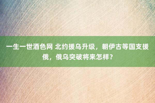 一生一世酒色网 北约援乌升级，朝伊古等国支援俄，俄乌突破将来怎样？