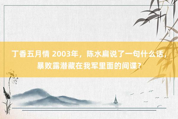 丁香五月情 2003年，陈水扁说了一句什么话，暴败露潜藏在我军里面的间谍？