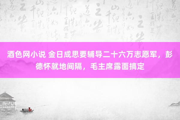 酒色网小说 金日成思要辅导二十六万志愿军，彭德怀就地间隔，毛主席露面搞定