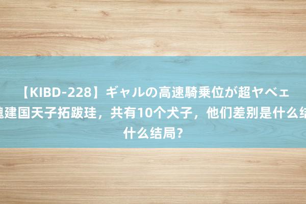 【KIBD-228】ギャルの高速騎乗位が超ヤベェ 北魏建国天子拓跋珪，共有10个犬子，他们差别是什么结局？