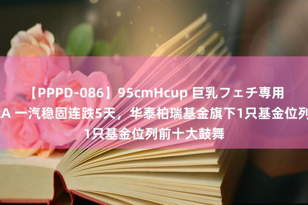 【PPPD-086】95cmHcup 巨乳フェチ専用ソープ SARA 一汽稳固连跌5天，华泰柏瑞基金旗下1只基金位列前十大鼓舞