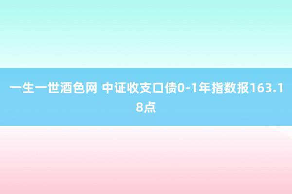 一生一世酒色网 中证收支口债0-1年指数报163.18点