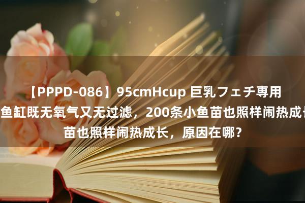 【PPPD-086】95cmHcup 巨乳フェチ専用ソープ SARA 鱼缸既无氧气又无过滤，200条小鱼苗也照样闹热成长，原因在哪？