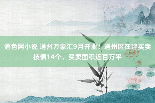 酒色网小说 通州万象汇9月开业！通州区在建买卖技俩14个，买卖面积近百万平