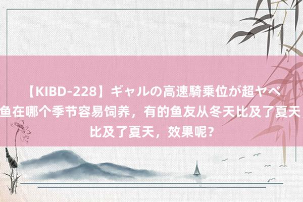 【KIBD-228】ギャルの高速騎乗位が超ヤベェ 不雅赏鱼在哪个季节容易饲养，有的鱼友从冬天比及了夏天，效果呢？