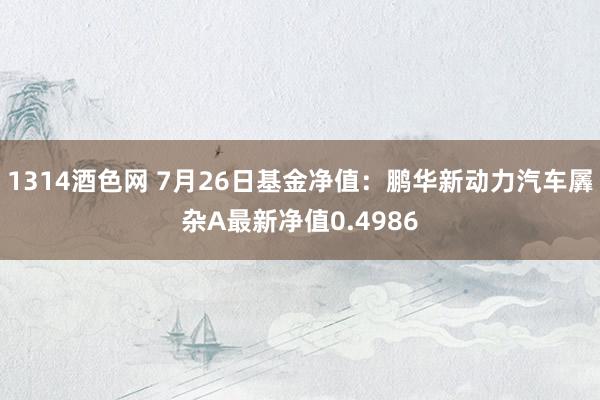 1314酒色网 7月26日基金净值：鹏华新动力汽车羼杂A最新净值0.4986