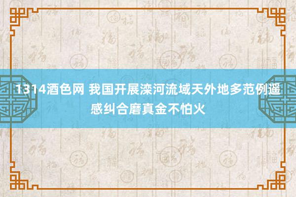 1314酒色网 我国开展滦河流域天外地多范例遥感纠合磨真金不怕火