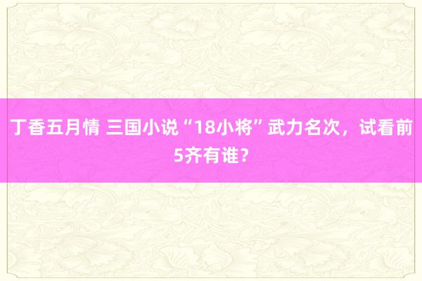 丁香五月情 三国小说“18小将”武力名次，试看前5齐有谁？