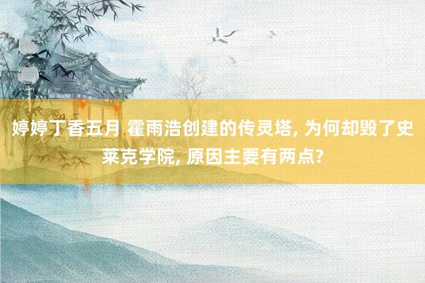 婷婷丁香五月 霍雨浩创建的传灵塔, 为何却毁了史莱克学院, 原因主要有两点?