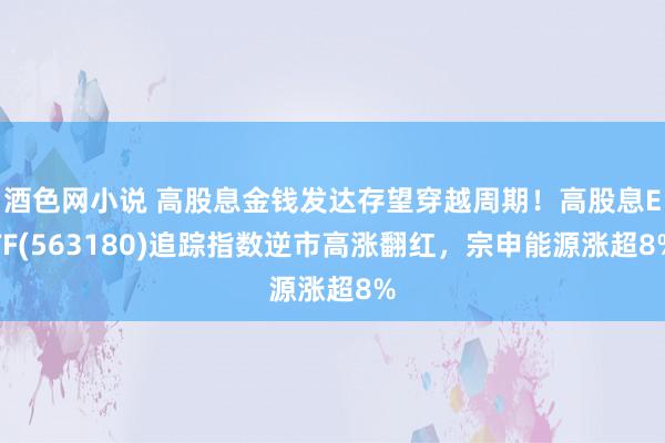 酒色网小说 高股息金钱发达存望穿越周期！高股息ETF(563180)追踪指数逆市高涨翻红，宗申能源涨超8%