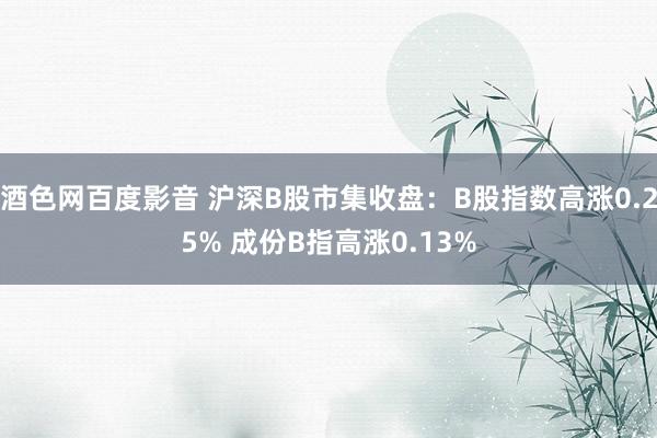 酒色网百度影音 沪深B股市集收盘：B股指数高涨0.25% 成份B指高涨0.13%