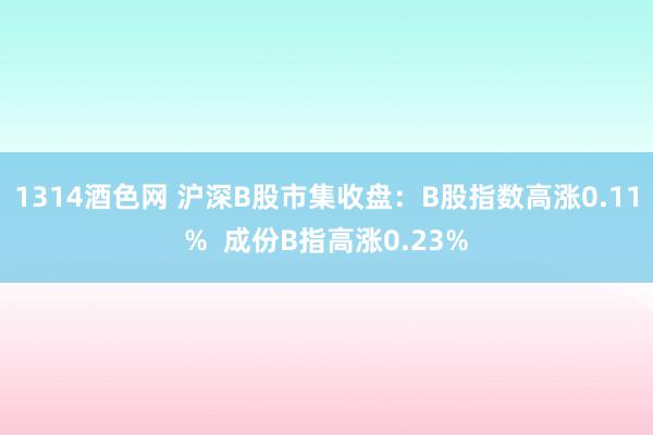 1314酒色网 沪深B股市集收盘：B股指数高涨0.11%  成份B指高涨0.23%