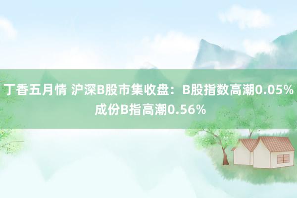 丁香五月情 沪深B股市集收盘：B股指数高潮0.05% 成份B指高潮0.56%