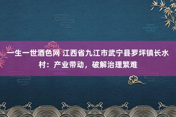 一生一世酒色网 江西省九江市武宁县罗坪镇长水村：产业带动，破解治理繁难