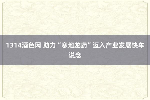 1314酒色网 助力“寒地龙药”迈入产业发展快车说念