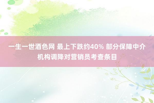 一生一世酒色网 最上下跌约40% 部分保障中介机构调降对营销员考查条目