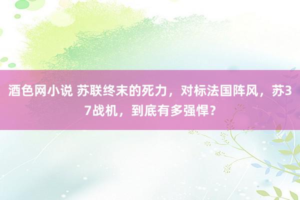 酒色网小说 苏联终末的死力，对标法国阵风，苏37战机，到底有多强悍？