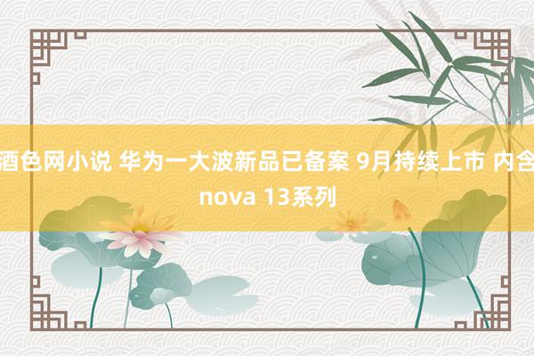 酒色网小说 华为一大波新品已备案 9月持续上市 内含nova 13系列