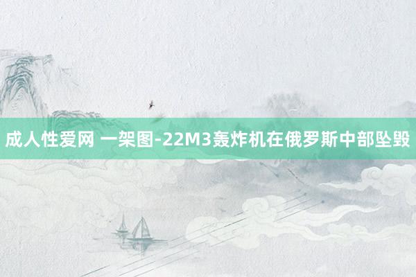 成人性爱网 一架图-22M3轰炸机在俄罗斯中部坠毁