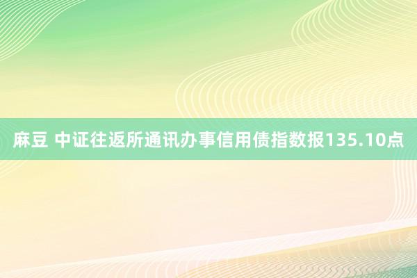 麻豆 中证往返所通讯办事信用债指数报135.10点