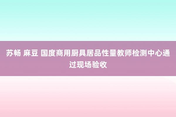 苏畅 麻豆 国度商用厨具居品性量教师检测中心通过现场验收