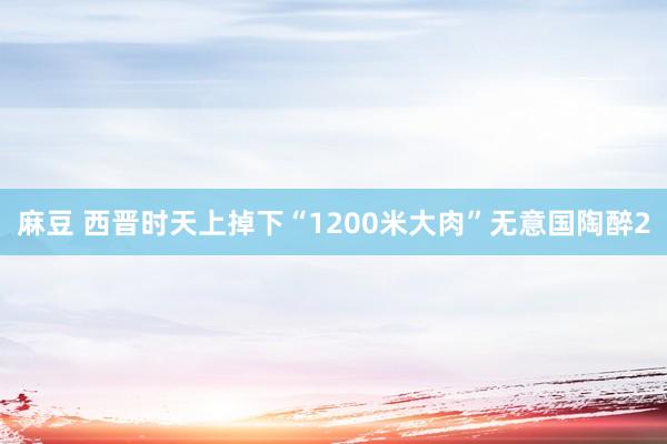 麻豆 西晋时天上掉下“1200米大肉”无意国陶醉2